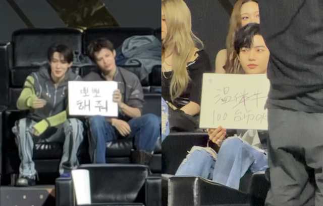 골드 기록 슈퍼 Q 하이라이트! CORTIS Zhao Yufan이 키스를 요청한다는 말을 퍼뜨리기 위해 옆에서 격렬하게 글을 쓰는 아티스트 ZB1 Zhang Hao가... 대표 이미지