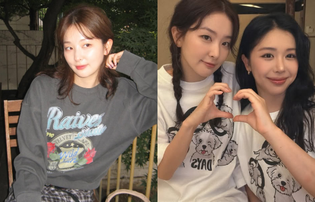 레드벨벳 슬기가 사랑하는 사촌을 잃었습니다! 개인채널에서 갑자기 2주간 업데이트를 중단한다 반응 체크